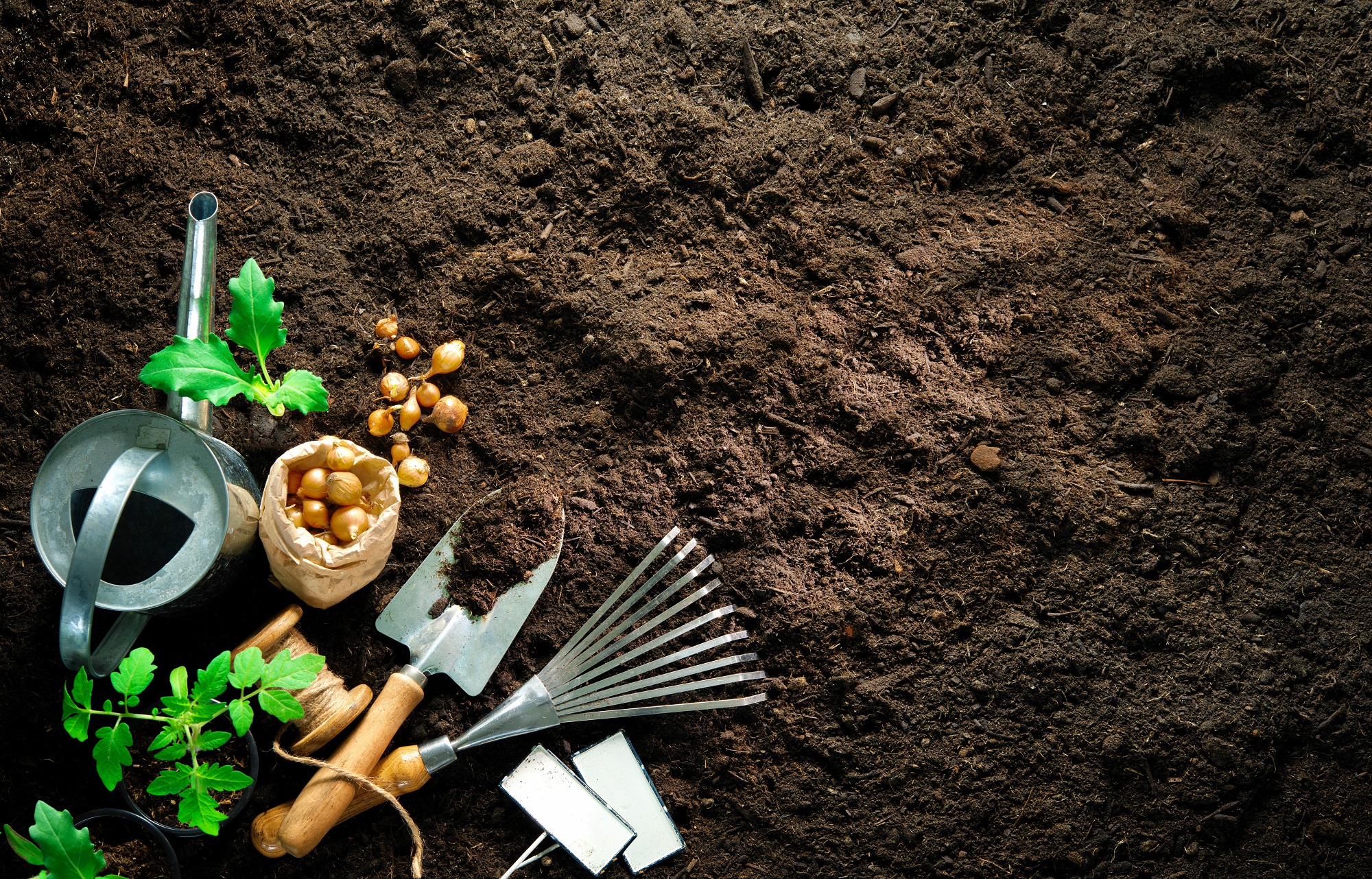 Les 10 outils de jardinage indispensables