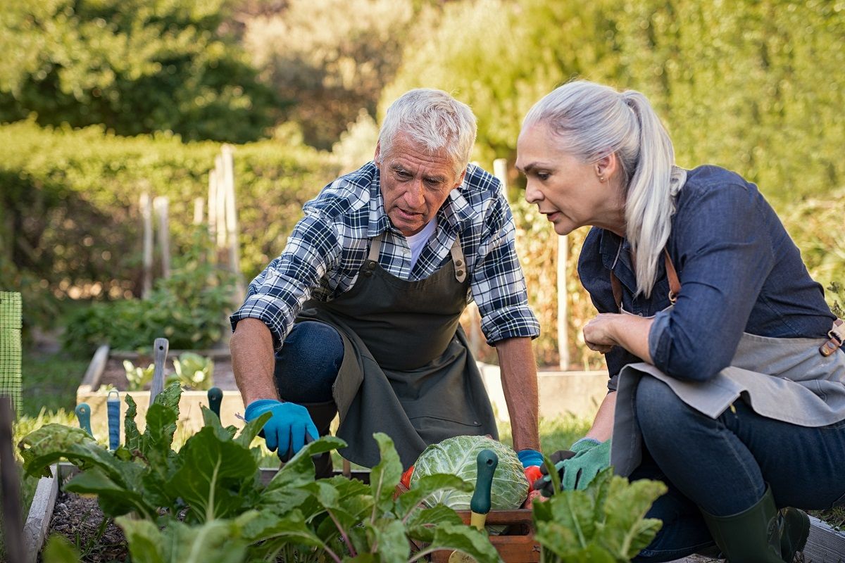 Le jardinage senior : l’activité parfaite à la retraite