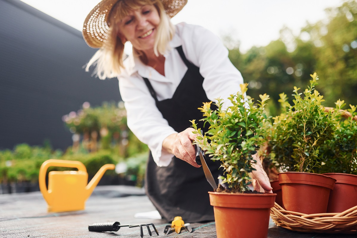 Asser poco Pasado Jardiner au printemps : les conseils d'un jardinier expert | Silver Alliance