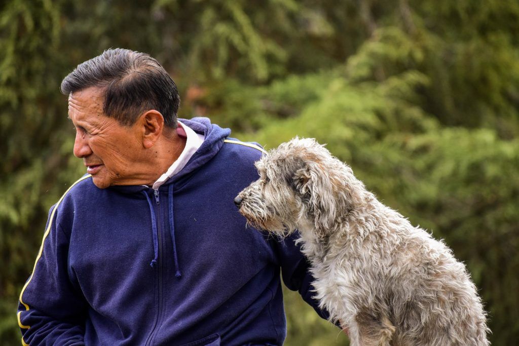 homme âgé et caniche